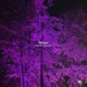 fall again Single