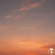 Soft Focus Single