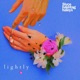 Lightly feat HASHTAGHALEYX Single