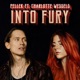 Into Fury Single