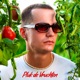 PLUK DE VRUCHTEN Single
