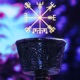 Vegvísir Single