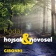 Hodaj feat Gibonni Single