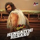 Pogaru Hengaithi Hesaru Single