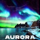 Aurora Single