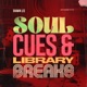 Soul Cues Library Breaks