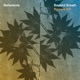 Beyond Breath Rework feat Midori Hirano The Vernon Spring EP
