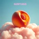 Sumptuous Single