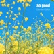 So good Single