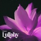 Lullaby Single