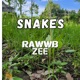 Snakes feat MC Zee Single