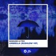 Umbrella RushLow VIP Single