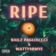 Ripe feat Watty 4rm YE Single