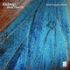 Birds That Fly Rival Consoles Remix Single