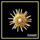 Satellite Single