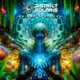 Enigma Protocol Single