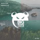Miracle Single