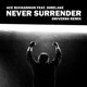 Never Surrender feat Direlake Driver86 Remix Instrumental Single
