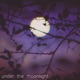 Under the Moonlight Single
