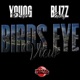 Birds Eye View feat Young Dragon Single