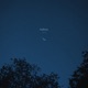 flora Single