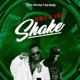 Shey E Dey Shake Single