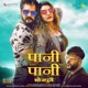 Paani Paani Single