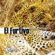 El Furtivo Single