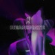 Reanimate Single