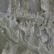Neural Inversion EP