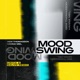 Mood Swing Critix Salvo Remix Single