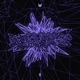 Fuzzstep Single