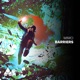 Barriers Single