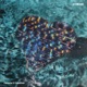 Cameras Coastlines Single