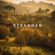 Berangan feat HARU Single
