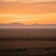 Chasing the Infinite Horizon Line Single