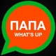 Папа What s Up Single
