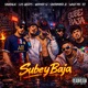 Sube y Baja Single
