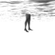 Dissolve Single