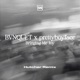 Bringing Me Joy Hutcher Remix Single