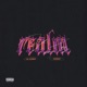 Realm Single