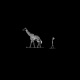 Blue Giraffe Single