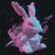 Jackrabbit Single