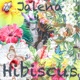 Hibiscus EP