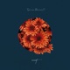 Another In the Fire feat Joseph Whettam Single