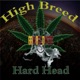 High Breed