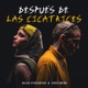 Después de las Cicatrices Single