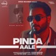 Pinda Aale Remix Single