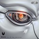 Eye of the Machine