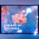 The Art of Luxuria II Single